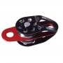 br_dv_0406-1-sturdy.jpg